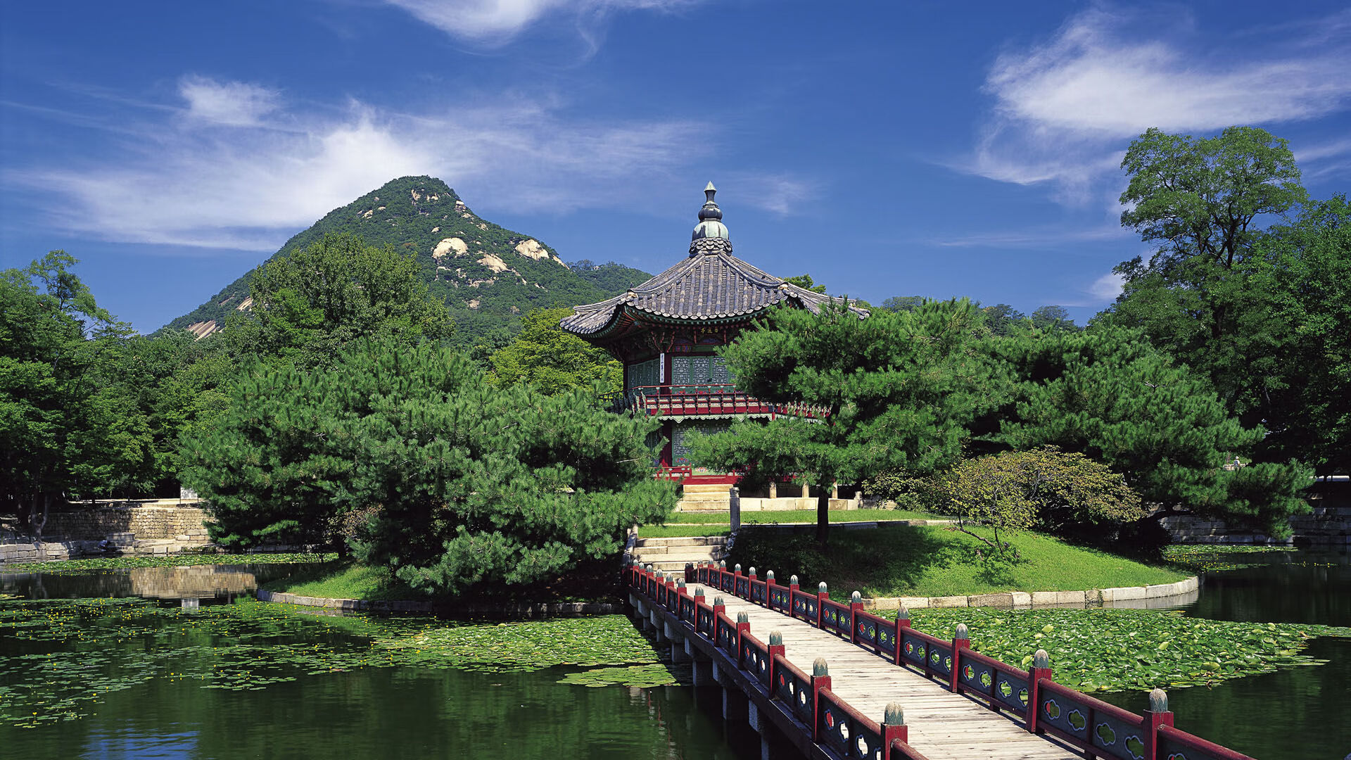 美国马术协会与亚洲马术协会建立合作关系，推动区域发展。，美国马术俱乐部