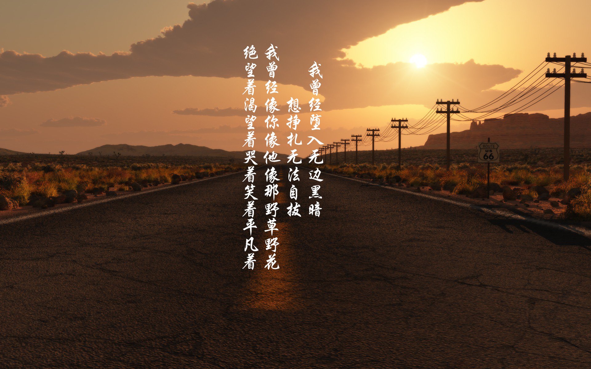 诺尔·维茨在七项全能中获得铜牌，诺维茨基组合