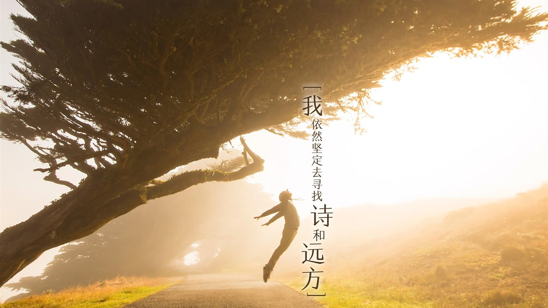 阿森纳备战欧冠比赛，球队气势如虹，阿森纳拿欧冠