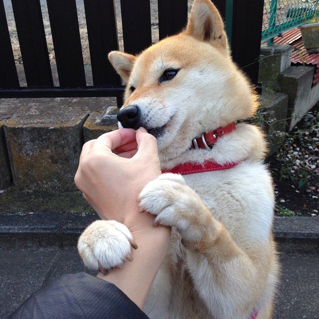 0新建场馆,成都世运“绿色办赛”太硬核了!