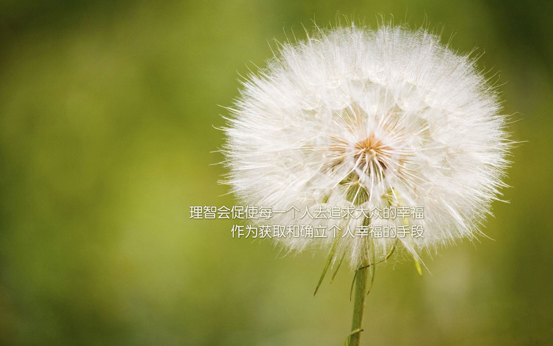 九游网页版入口-中小学体育课试点引入传统武术基础教学，国家将武术内容列入中小学体育教学大纲