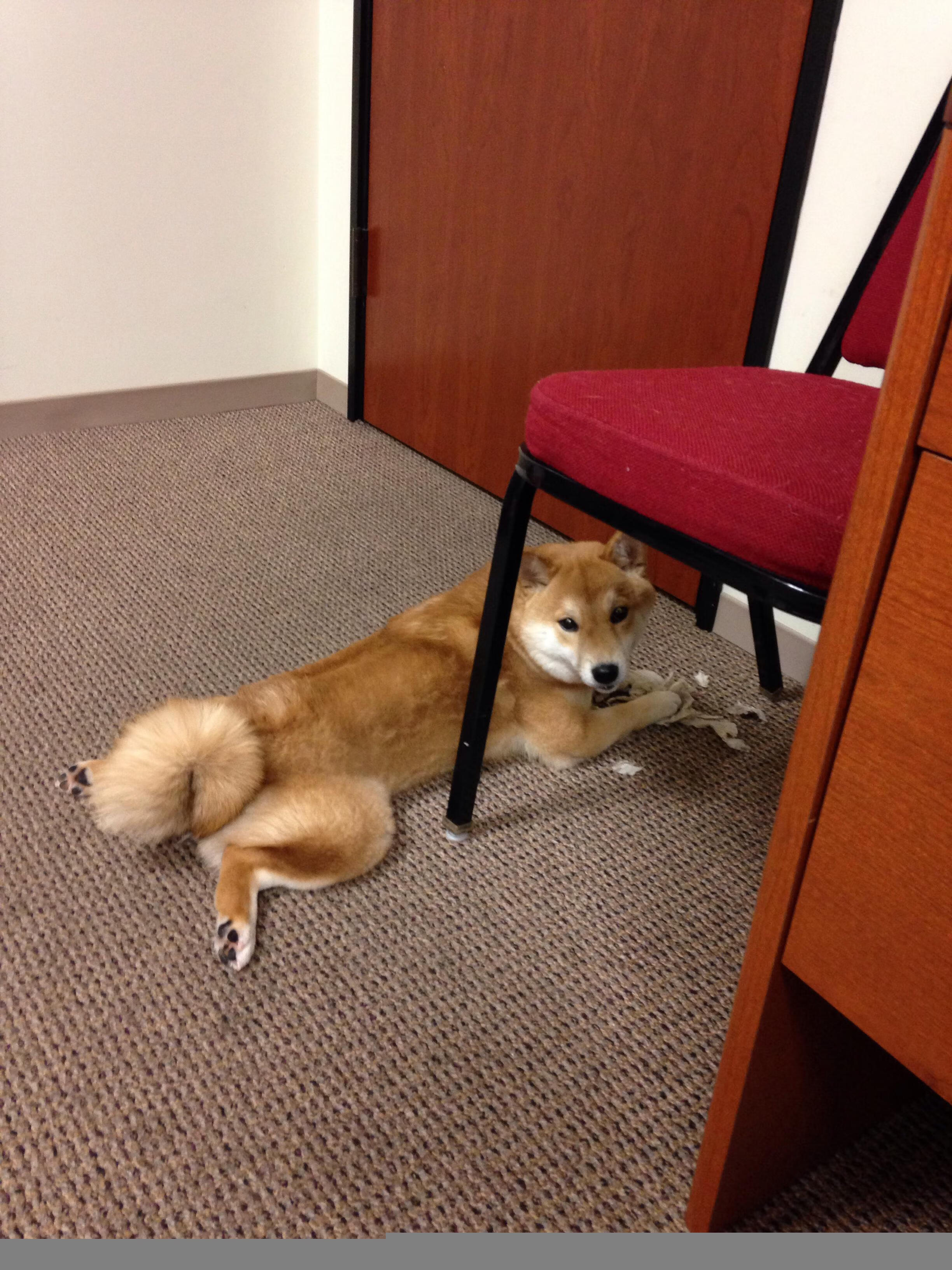 九游娱乐-曼城终场绝杀切尔西完成复仇，曼城击败切尔西