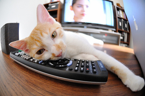 九游娱乐官网 (jiuyou)-渡边一平稳扎稳打掌控全程节奏，渡边彻百度百科